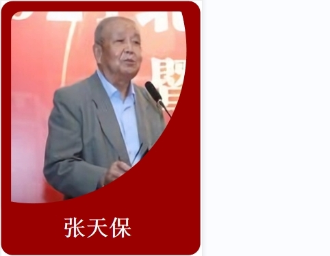 四大权威顾问